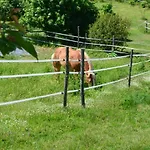 בית חווה Podere Delle Rose *