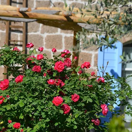 Podere Delle Rose *