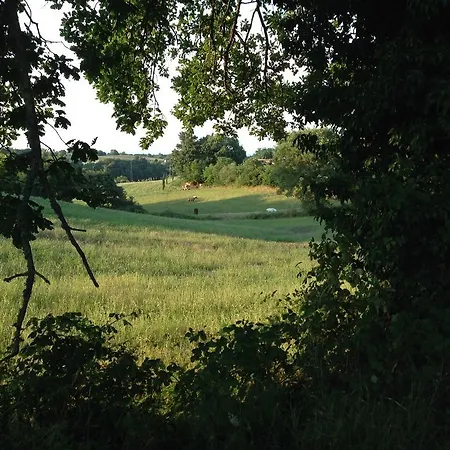 Farm stay Podere Delle Rose *