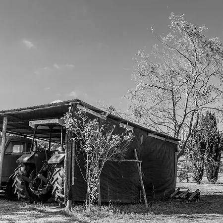 Podere Delle Rose Farm stay *
