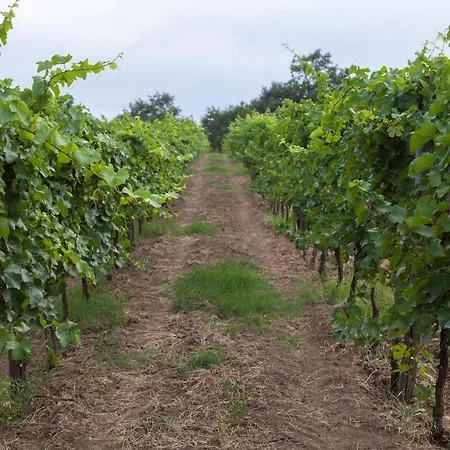 Κατάλυμα σε φάρμα Podere Delle Rose