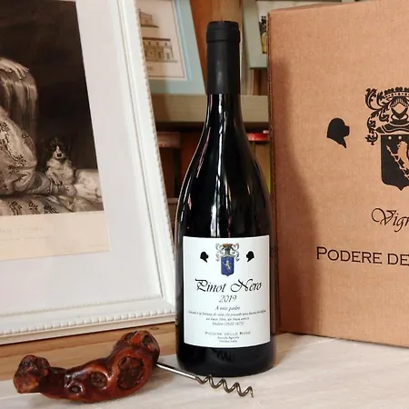 Podere Delle Rose Farm stay Torre San Severo