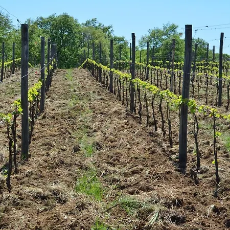 Podere Delle Rose * Torre San Severo