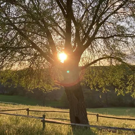 Agroturismo Podere Delle Rose Torre San Severo
