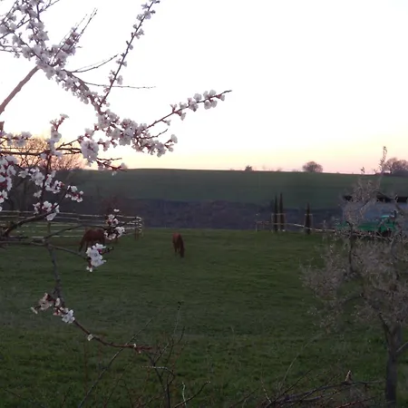 Podere Delle Rose * Torre San Severo