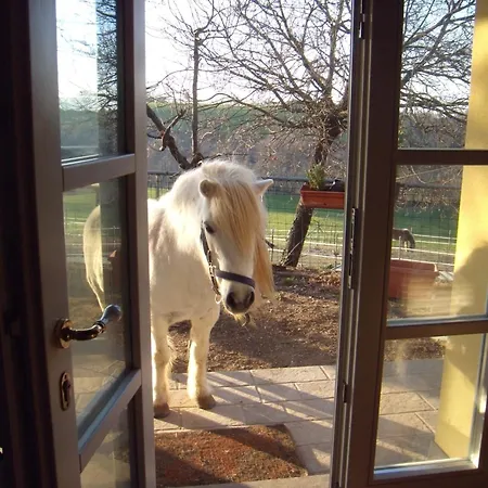 Podere Delle Rose Agroturismo