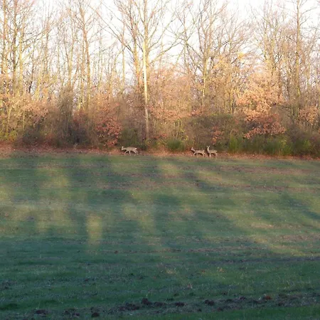 Podere Delle Rose Agroturismo *