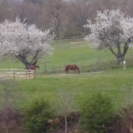 Agroturismo Podere Delle Rose