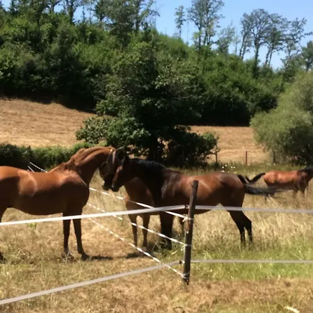 Podere Delle Rose Farm stay