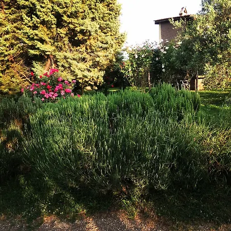 Agroturismo Podere Delle Rose *