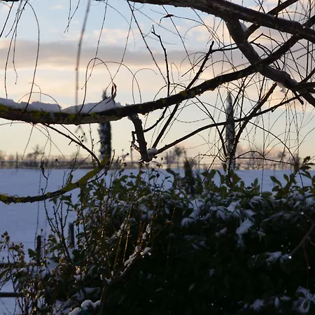Podere Delle Rose Agroturismo Torre San Severo