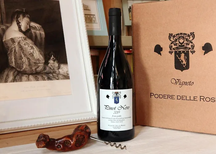 Podere Delle Rose 팜스테이 Torre San Severo