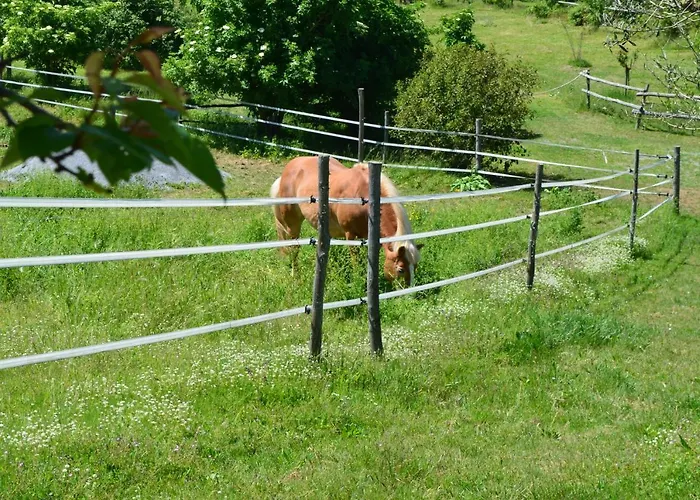 팜스테이 Podere Delle Rose *