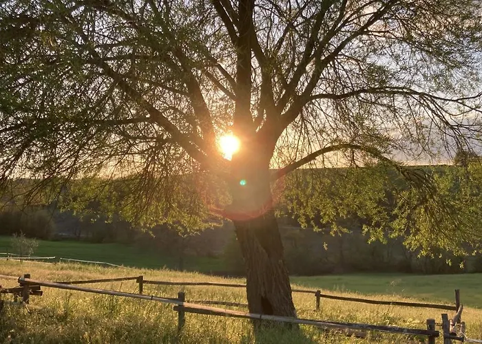 팜스테이 Podere Delle Rose Torre San Severo