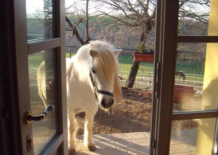 Podere Delle Rose 팜스테이